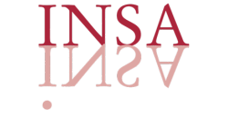 Stichting Instituut voor Non-verbale Strategie Analyse